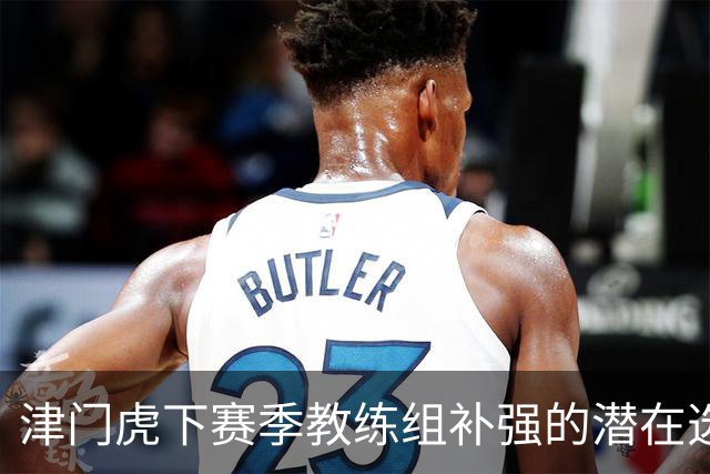 津门虎下赛季教练组补强的潜在选择：于大宝